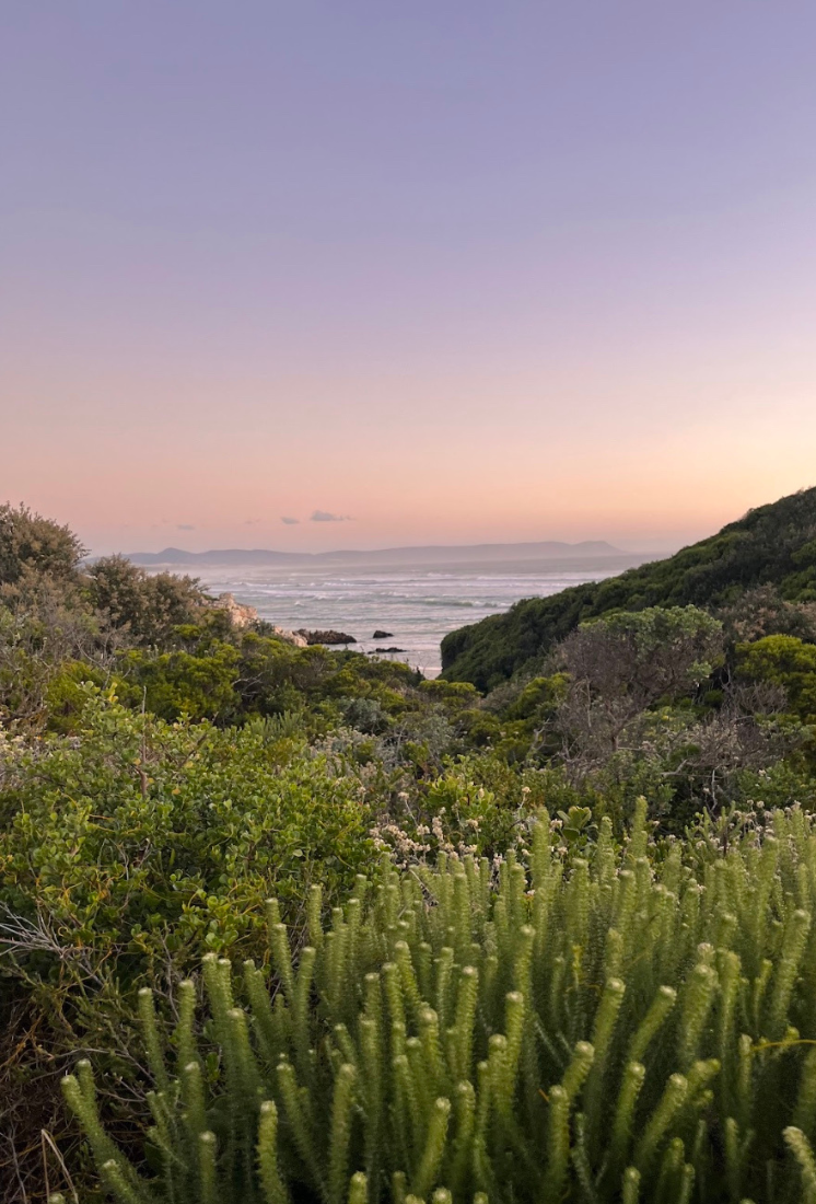 SOUTH AFRICA ANNOUNCES NEW MARINE PROTECTED AREA NETWORK
