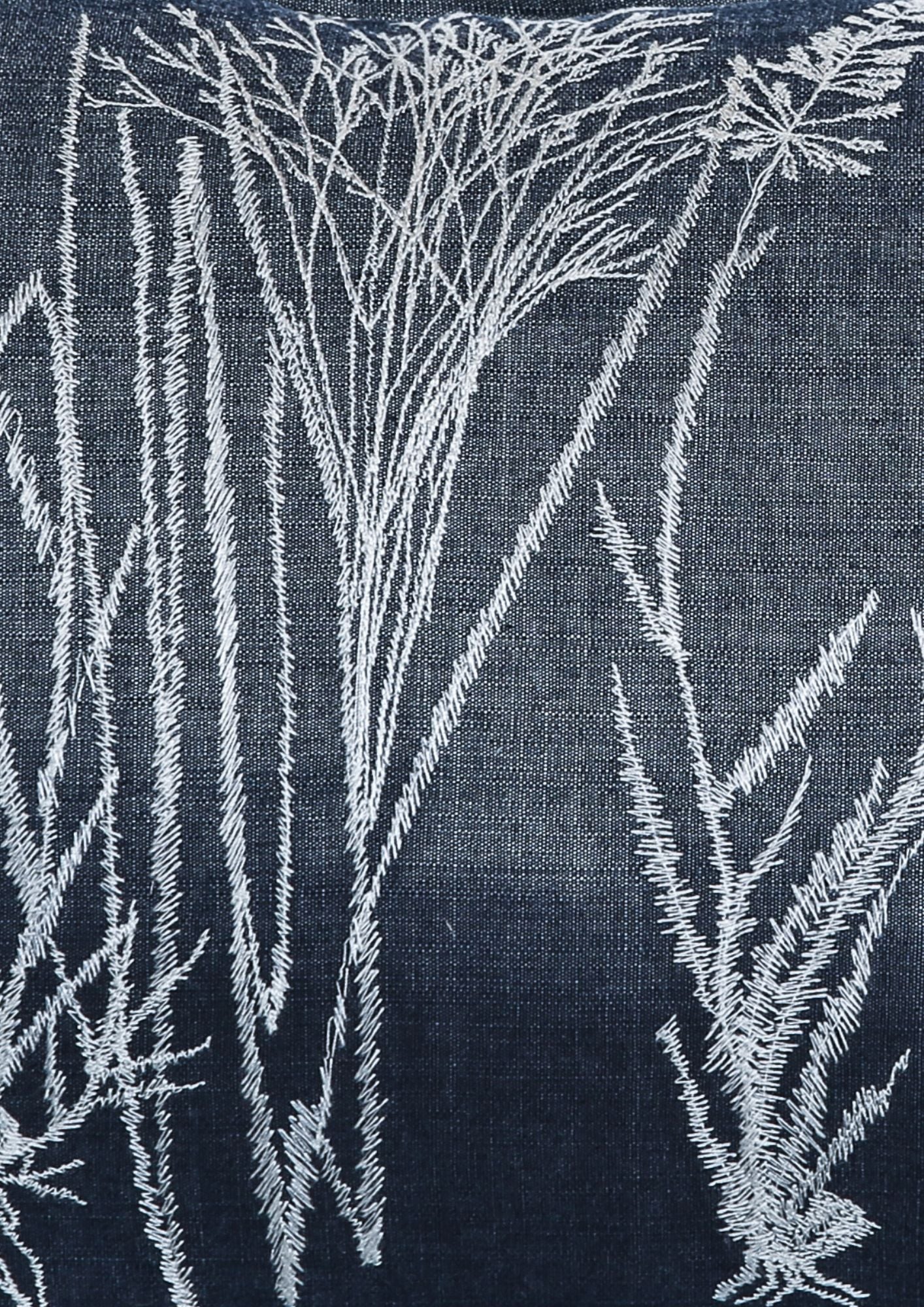 RAPTUROUS RAVINE: THE GRASSES