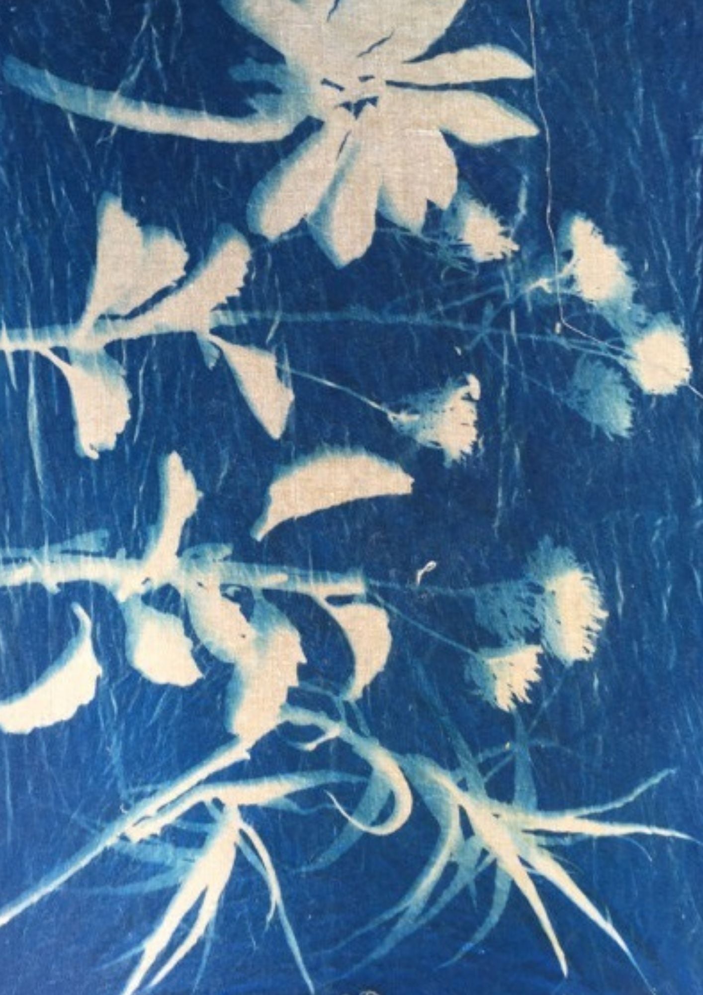THE BOTANICAL BLUEPRINT COLLECTION