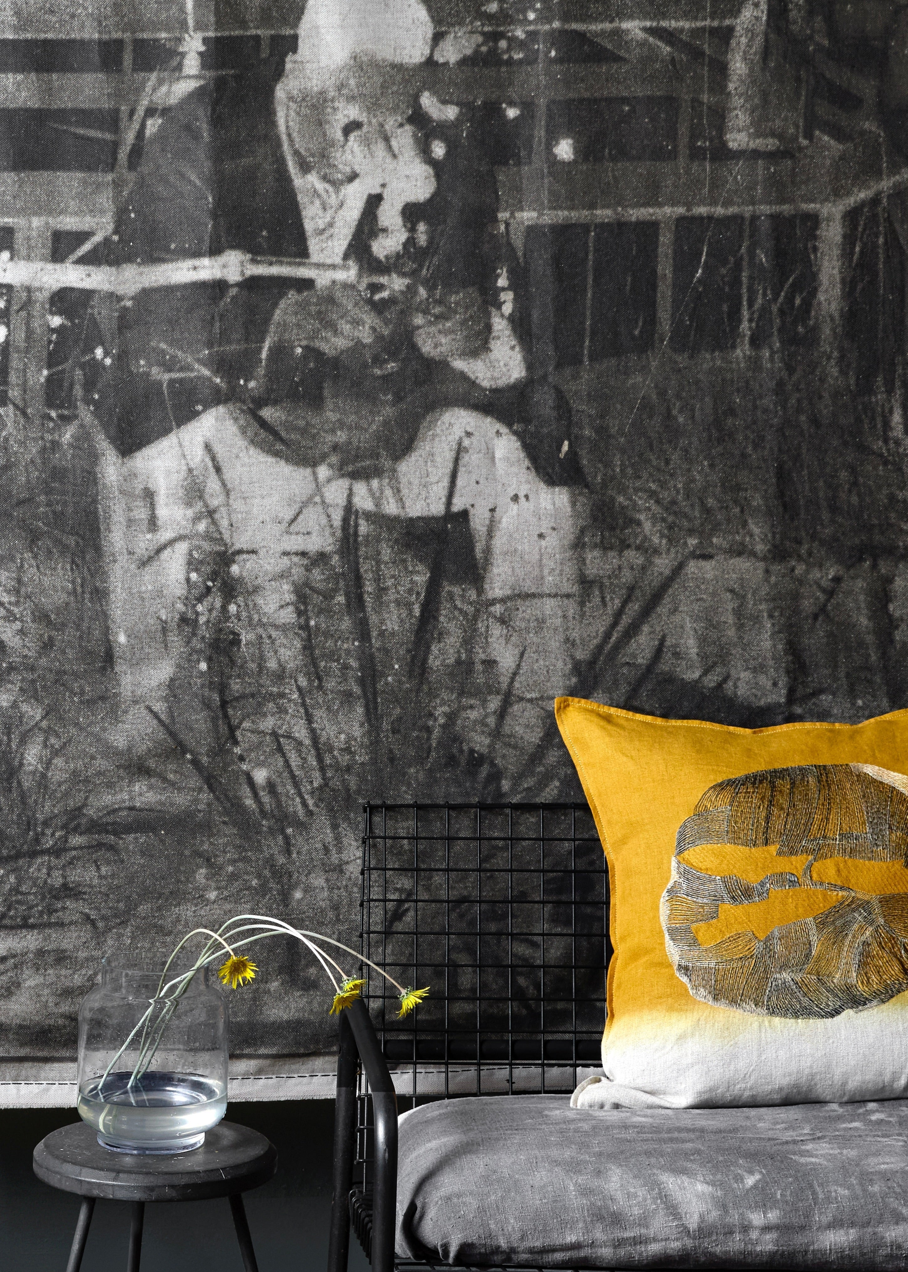 The Call of The Karoo: Fossils