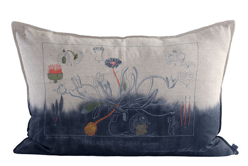 Embroidered Glabra Cushion