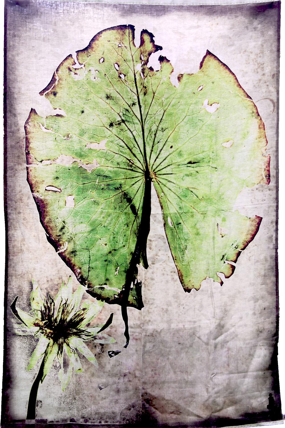 Monkey Bay Nymphaea Panel