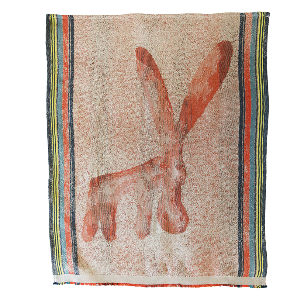 Aardvark Heritage Doek
