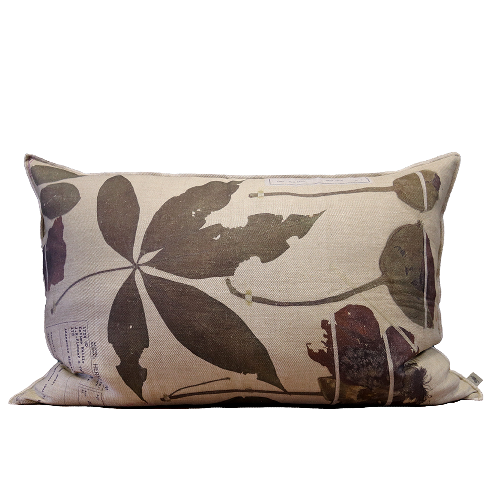 Adansonia Cushion Stone Printed