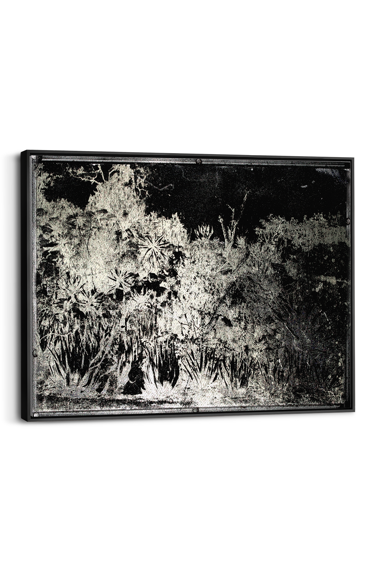 Aloe Hill Panel