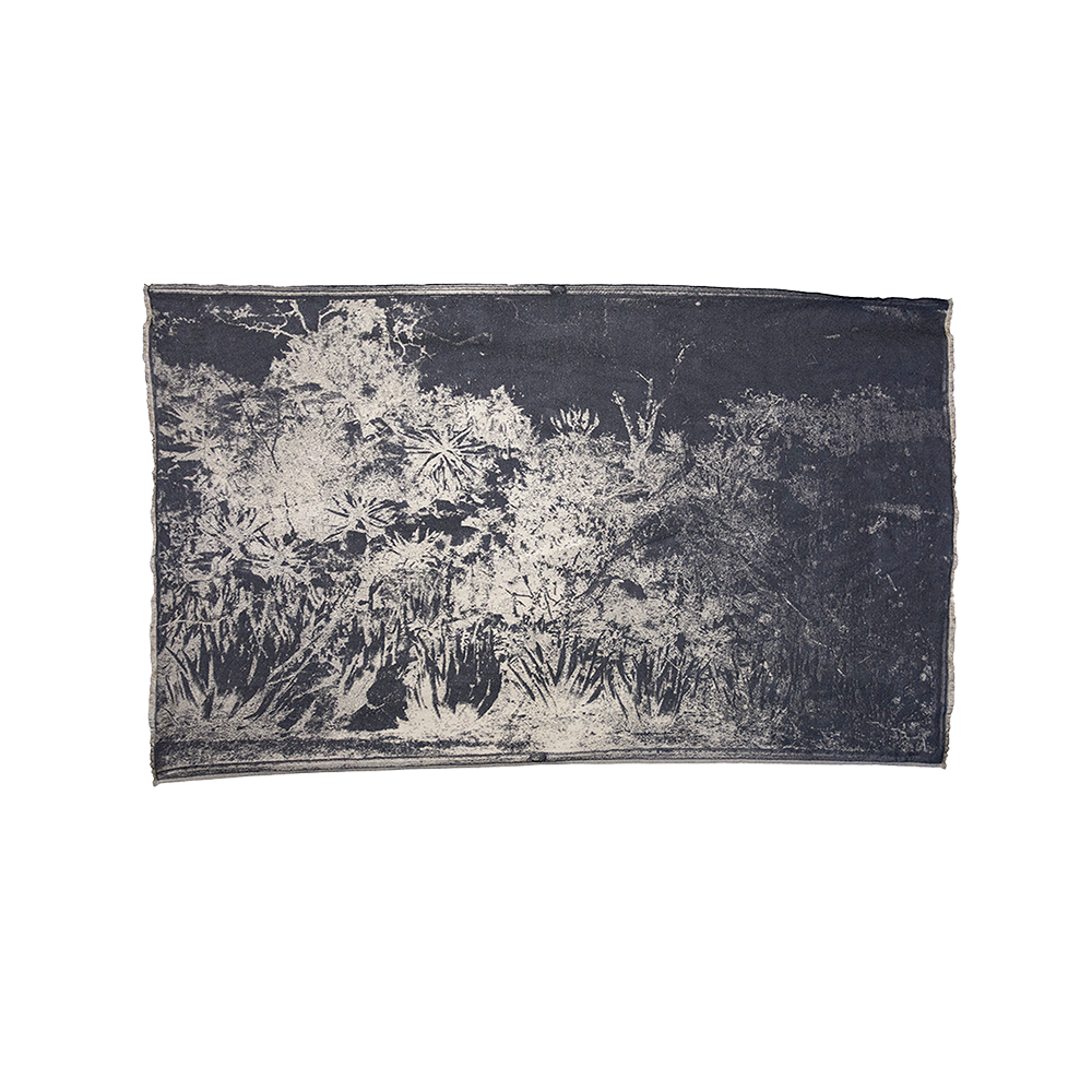 Aloe Hill Jacquard Throw