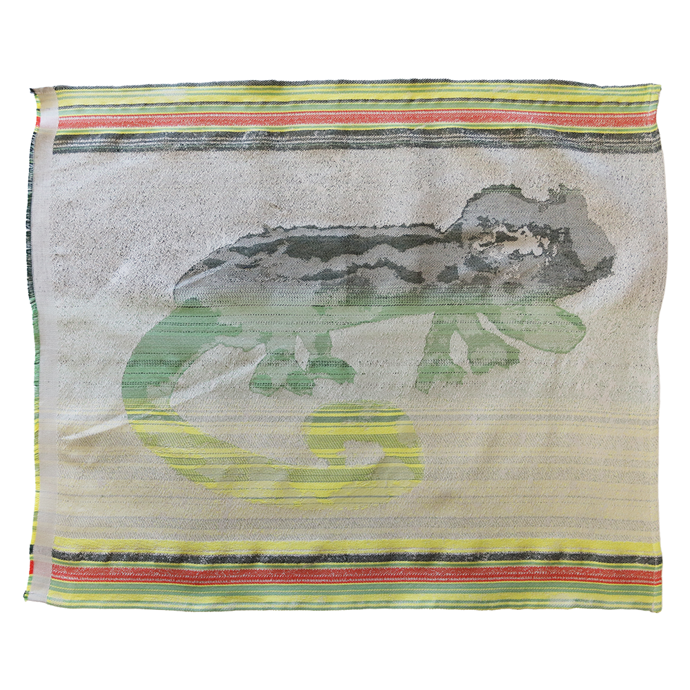 Dwergverkleurmannetjie Heritage Doek