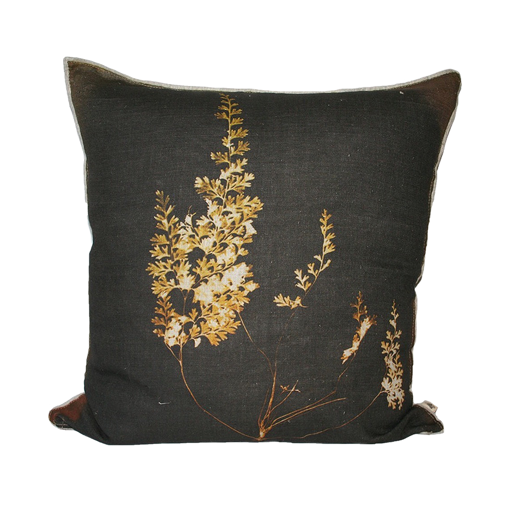 Fern 4 Pitorogramma Cushion, Printed