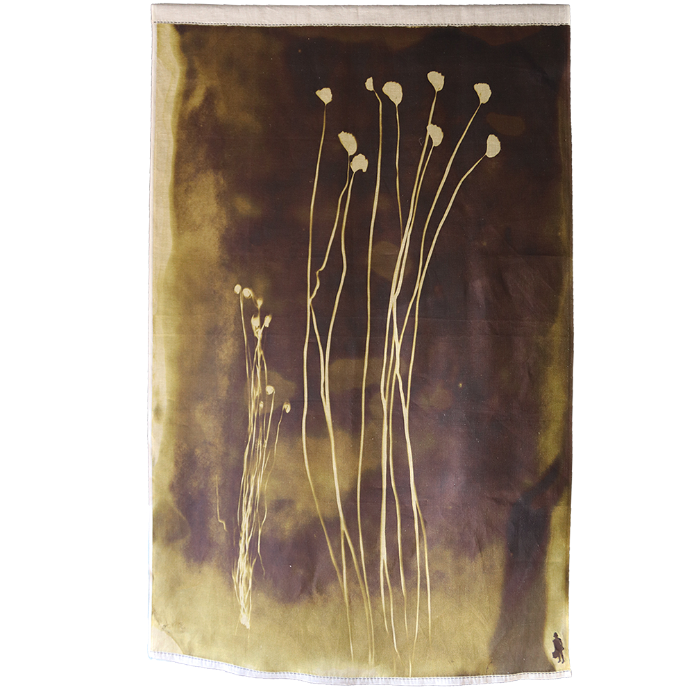 Fern 1 Panel