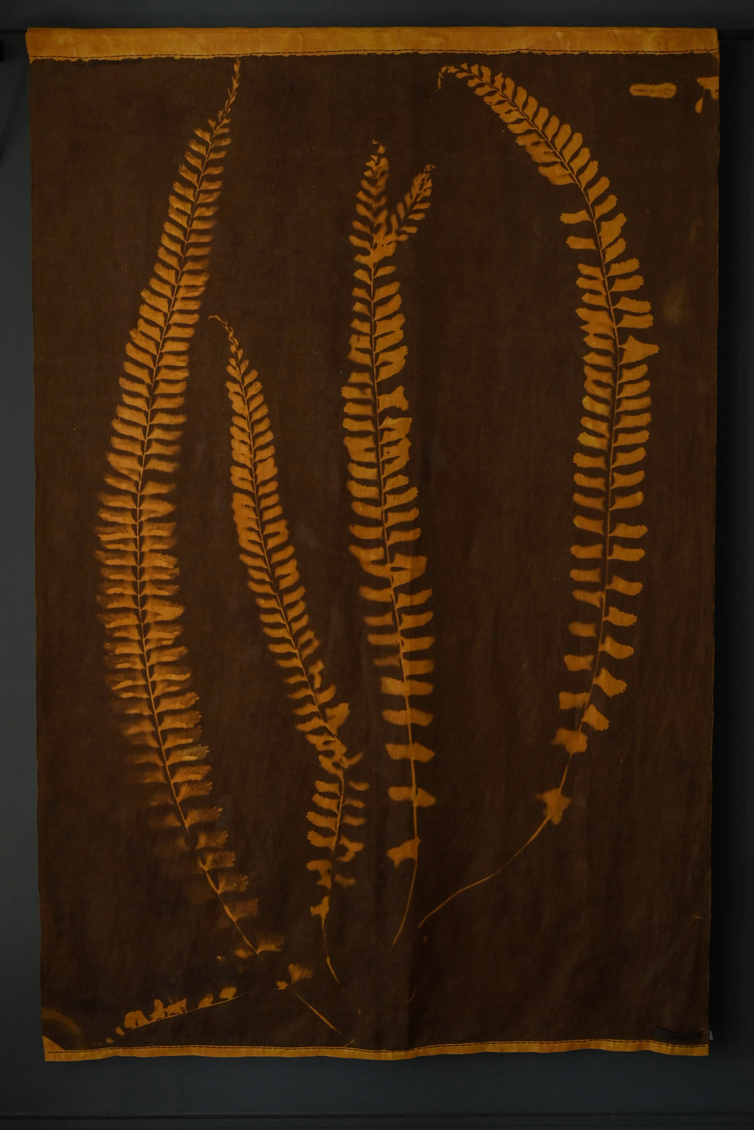 Overdyed Fern Panel