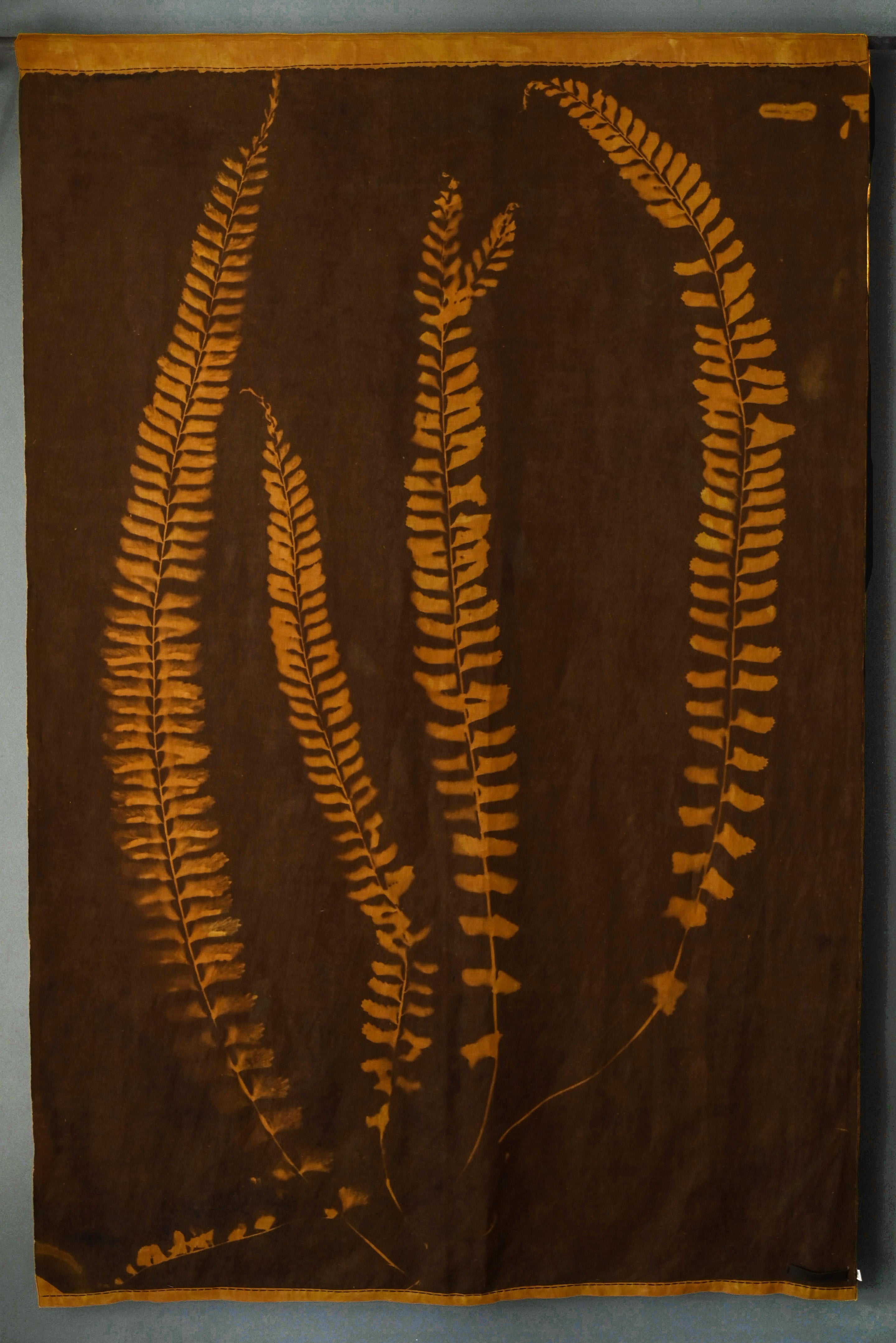 Overdyed Fern Panel