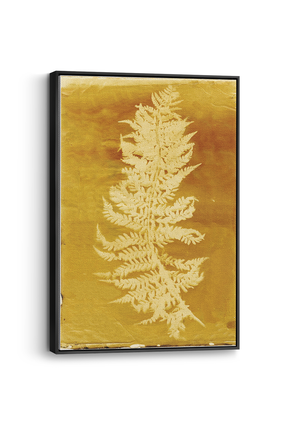 Fern 8 Panel