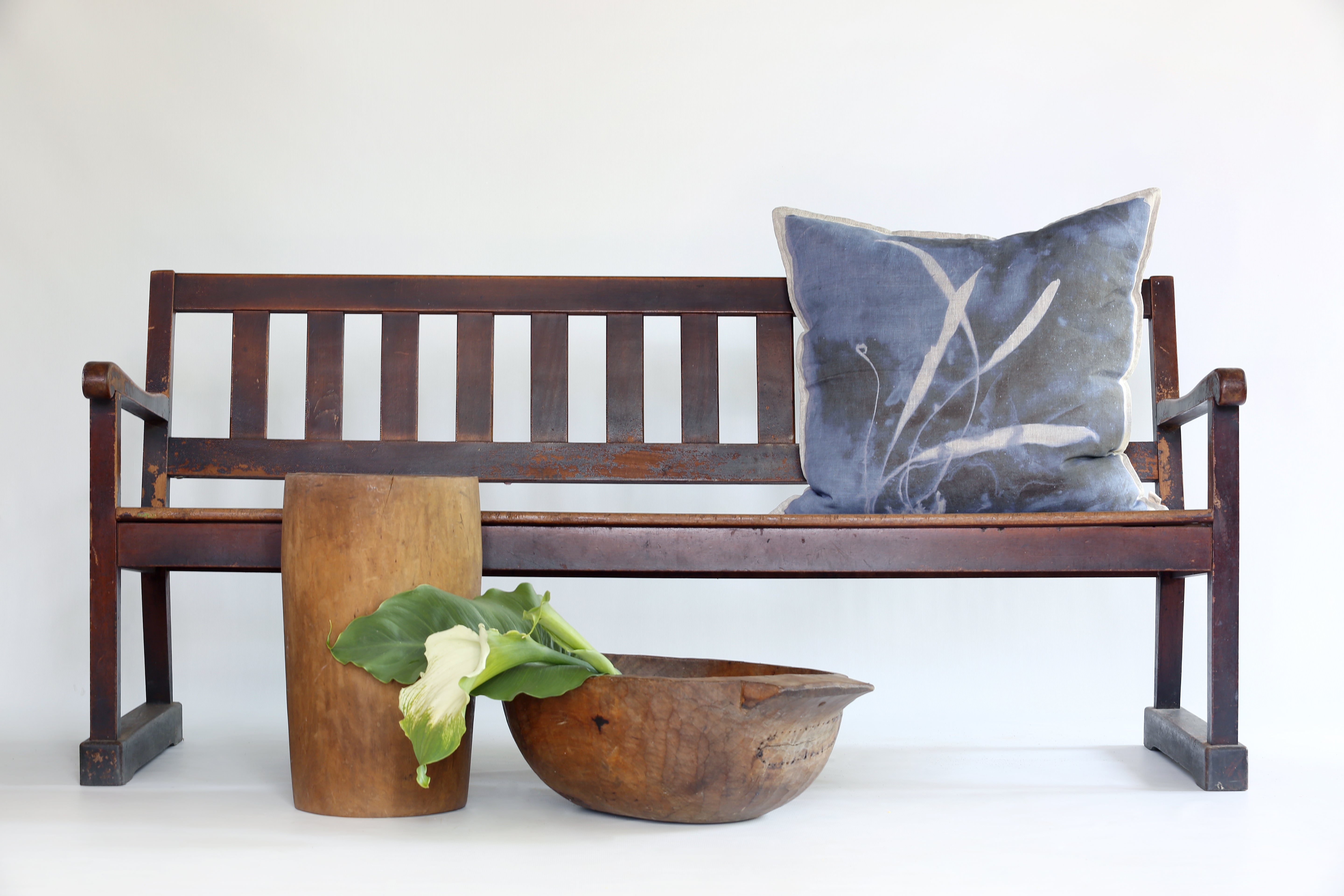 Fern 5 Elaphoglossum Cushion, Printed