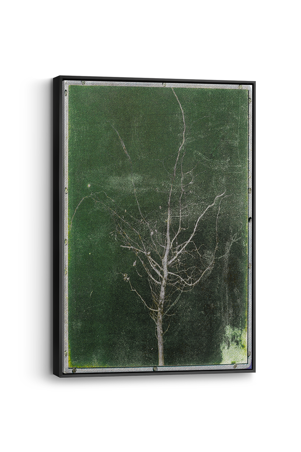 Groen Boom Panel