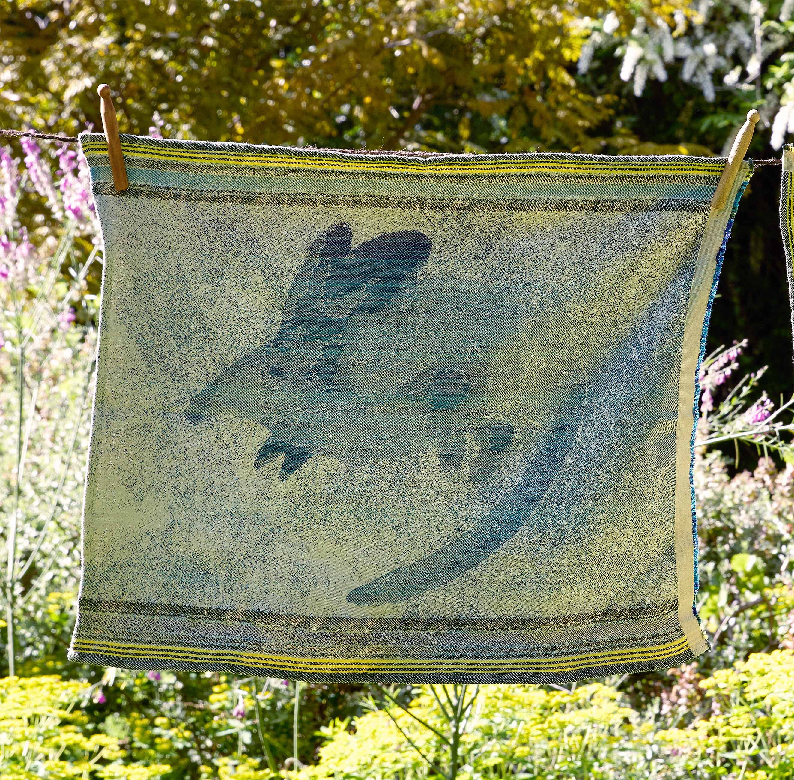 Klaasneus Heritage Doek