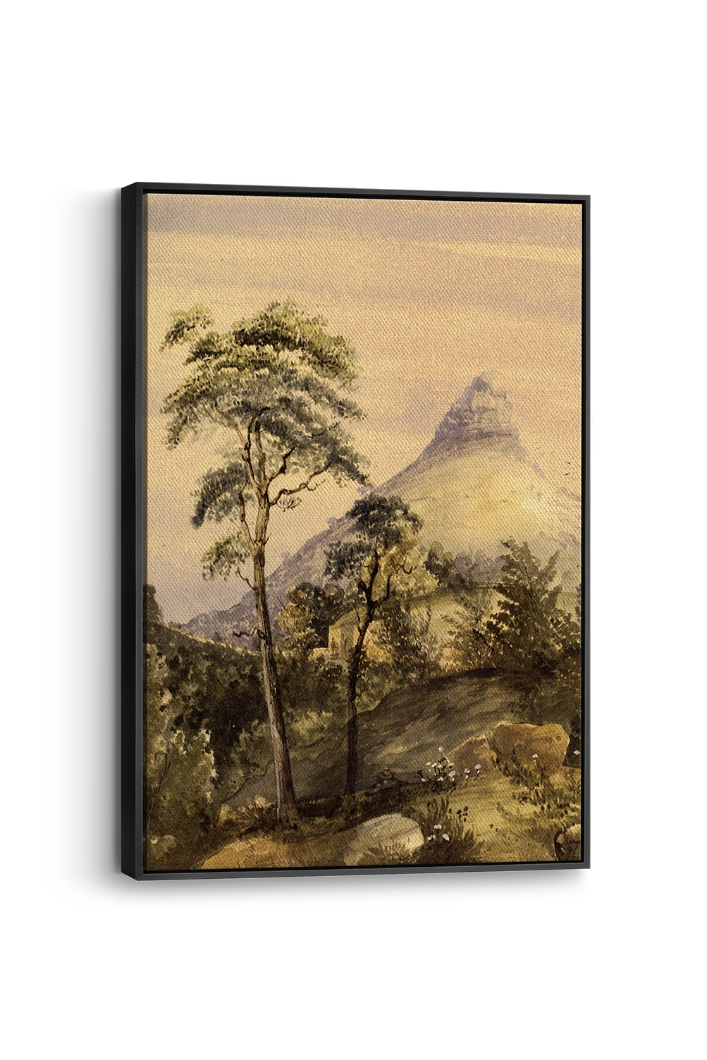Lion's Head Panel