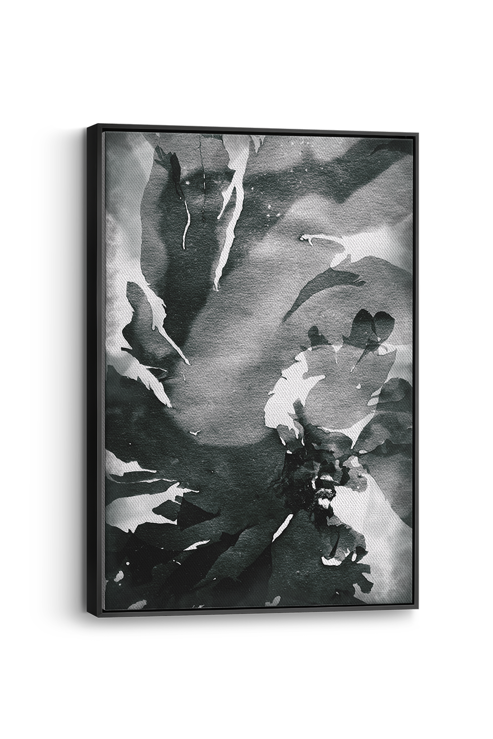 Nitiphyllum Panel