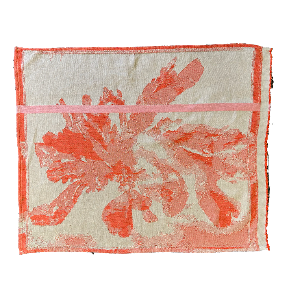 Nitiphyllum Heritage Doek