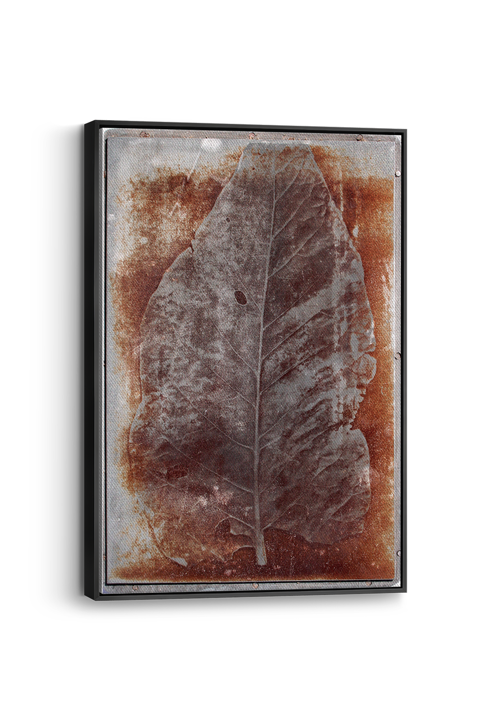 Roes Blaar Panel