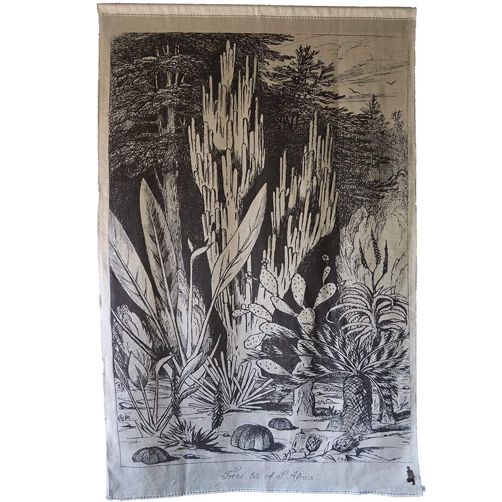 Trees of South Africa 2 Panel