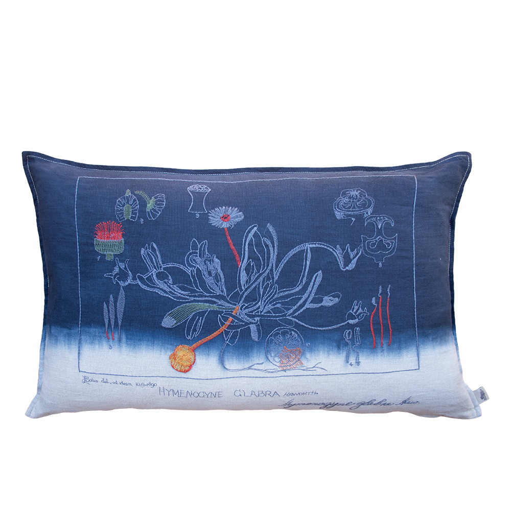 Glabra Embroidered Cushion