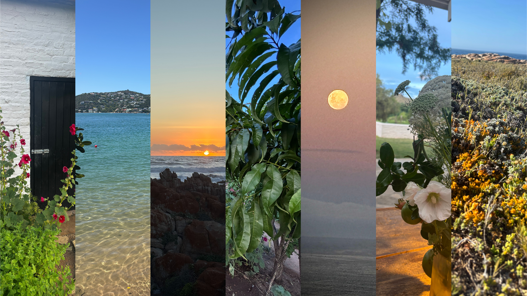 Reflections on the Road Into 2026: A Note From Amanda