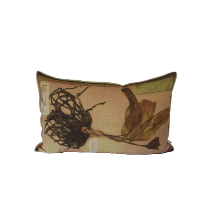 Haeamanthus Gyaxis Cushion, Printed