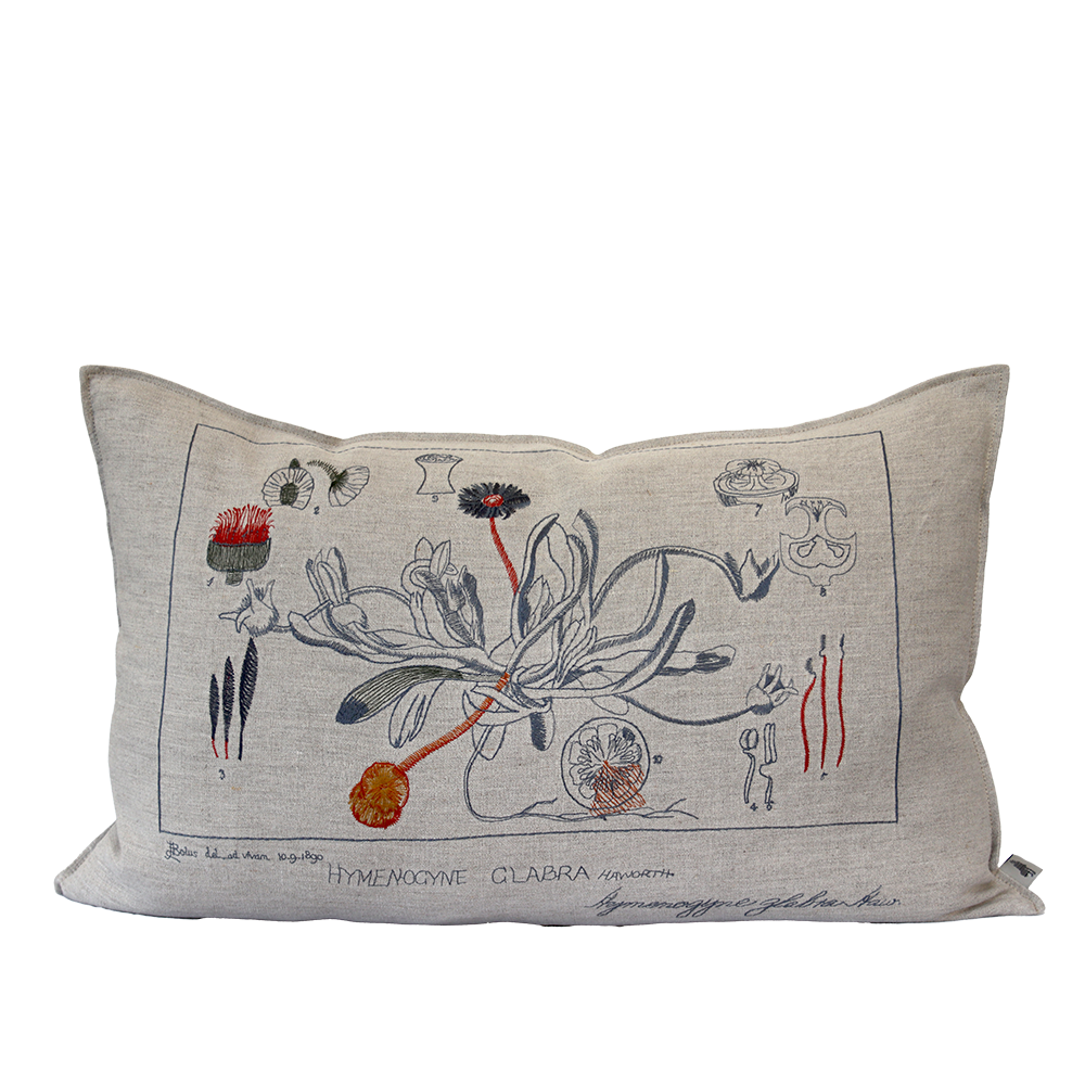 Embroidered Glabra Cushion