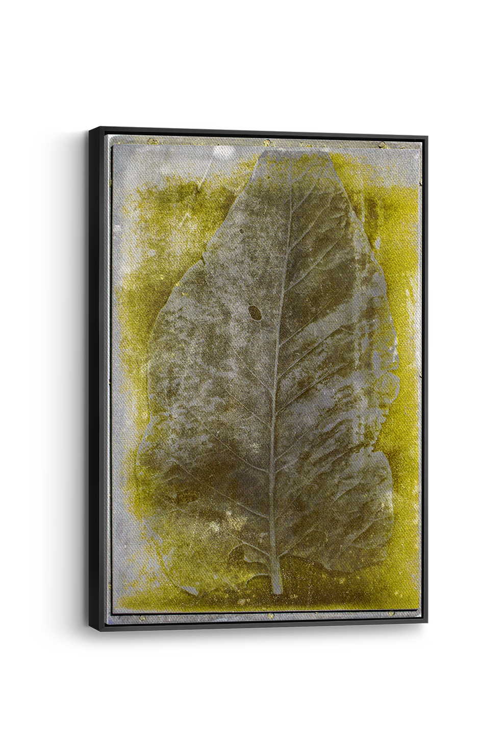 Droe Blaar Panel