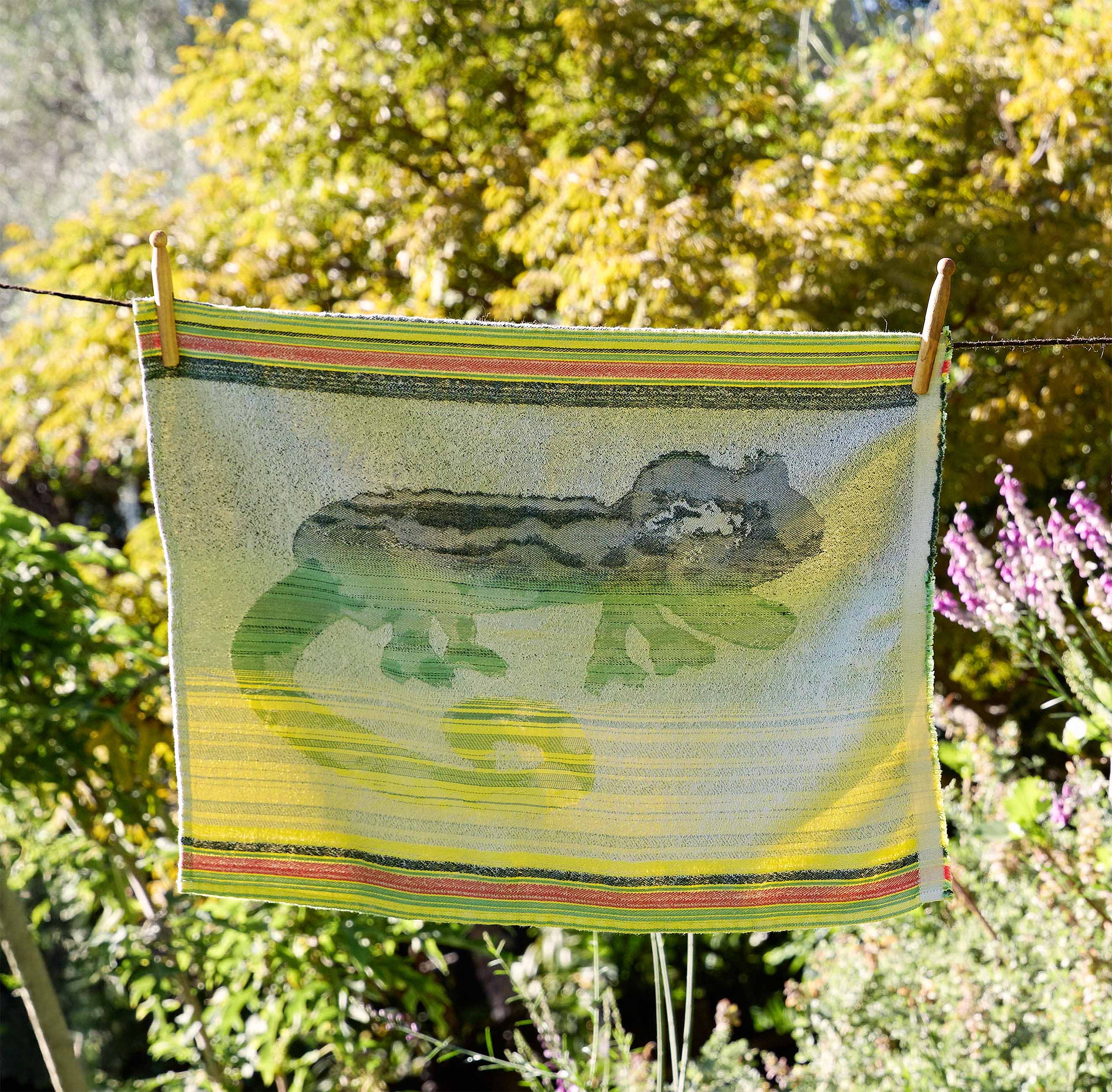 Dwergverkleurmannetjie Heritage Doek