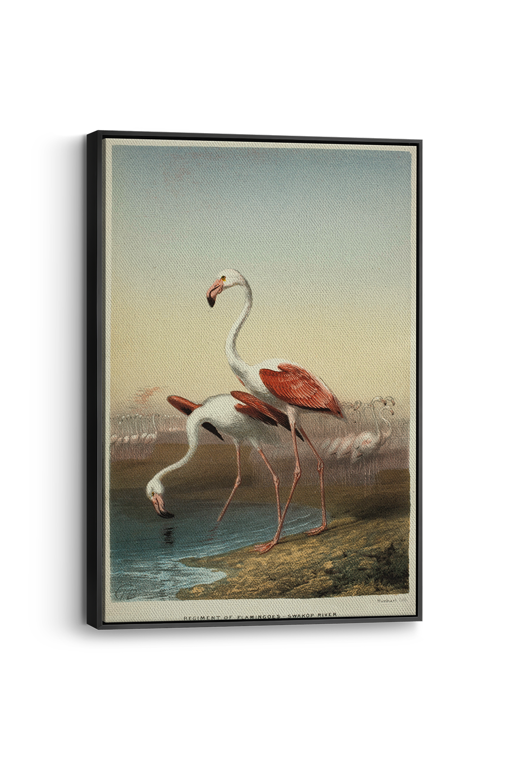 Flamingo Panel