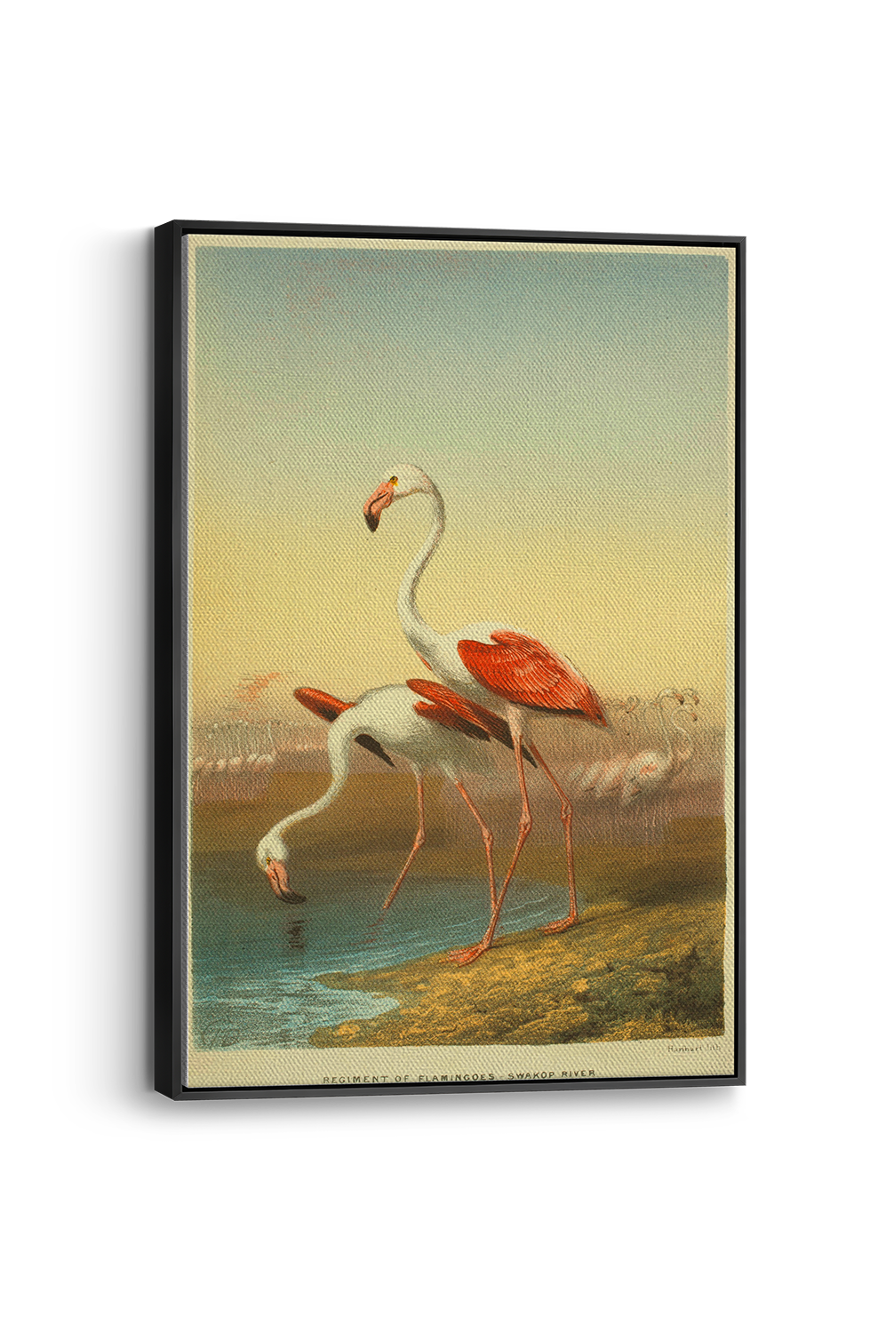 Flamingo Panel