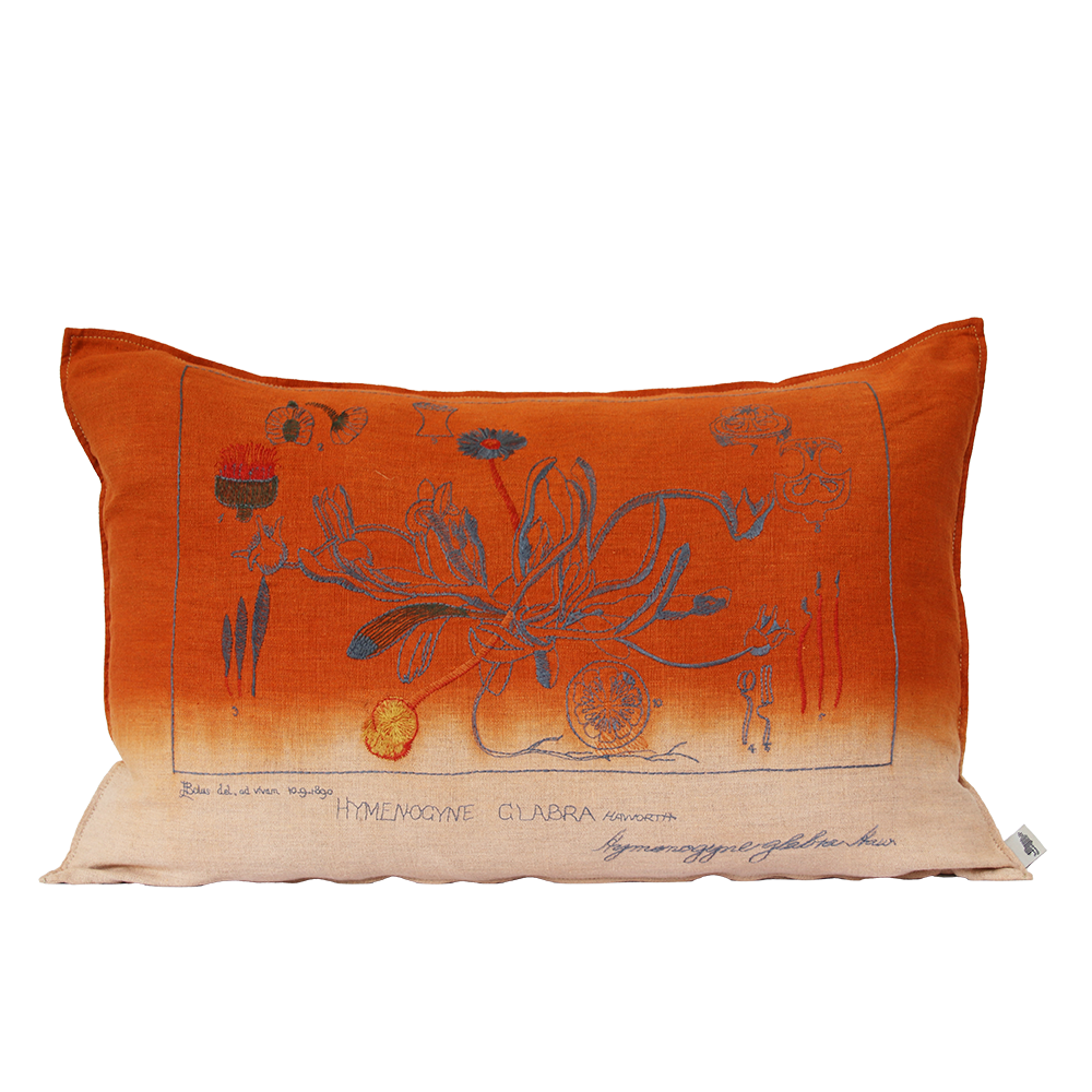 Glabra Embroidered Cushion