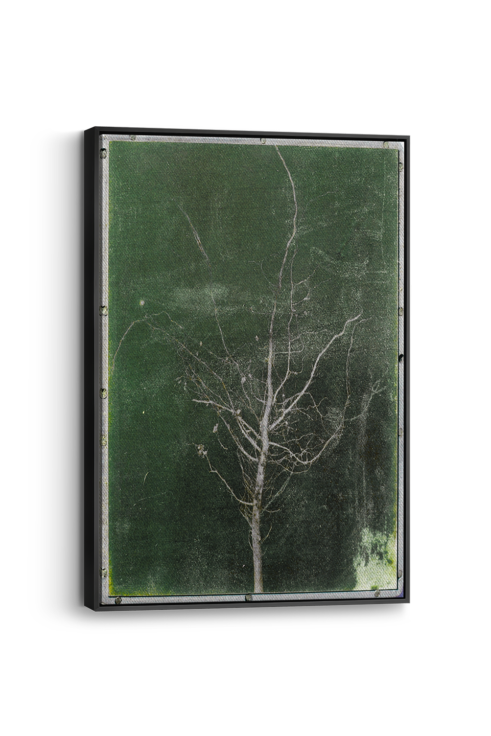 Groen Boom Panel