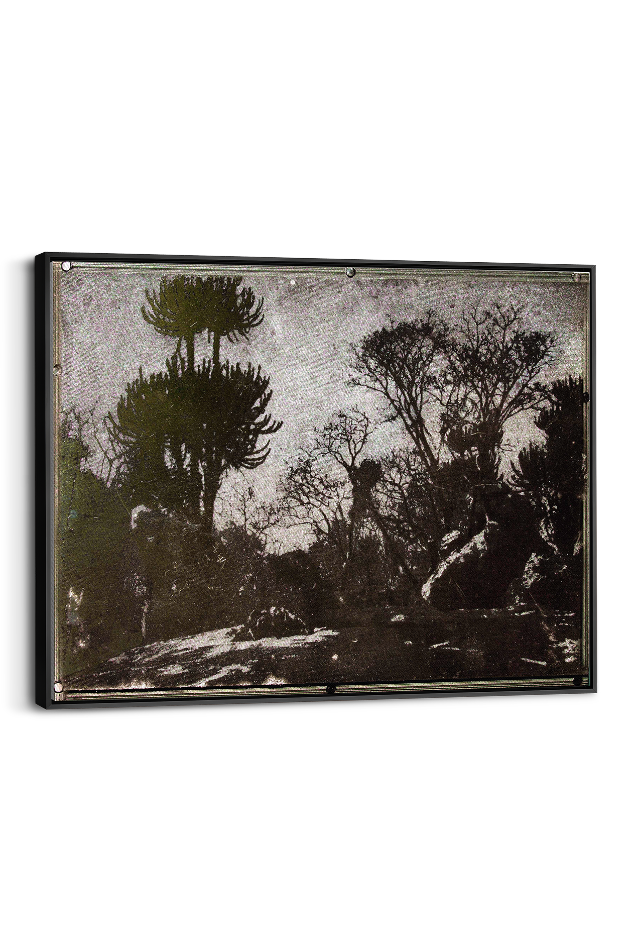 Naboom Panel