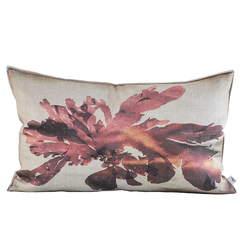 Nitiphyllum Red Cushion, Printed