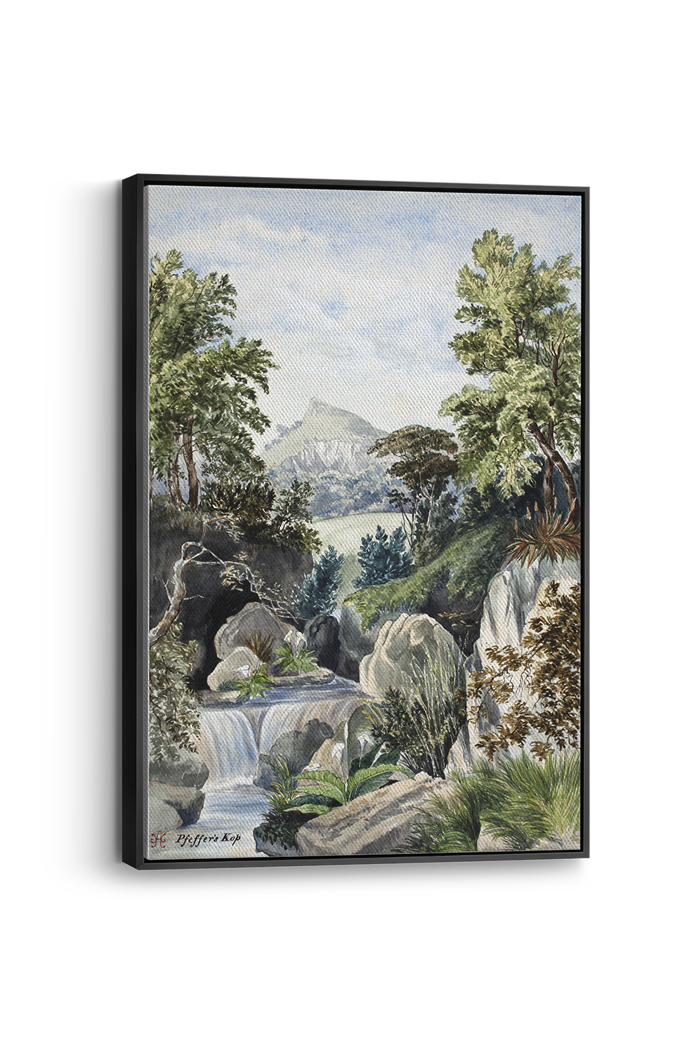 Pfeffers Kop Panel