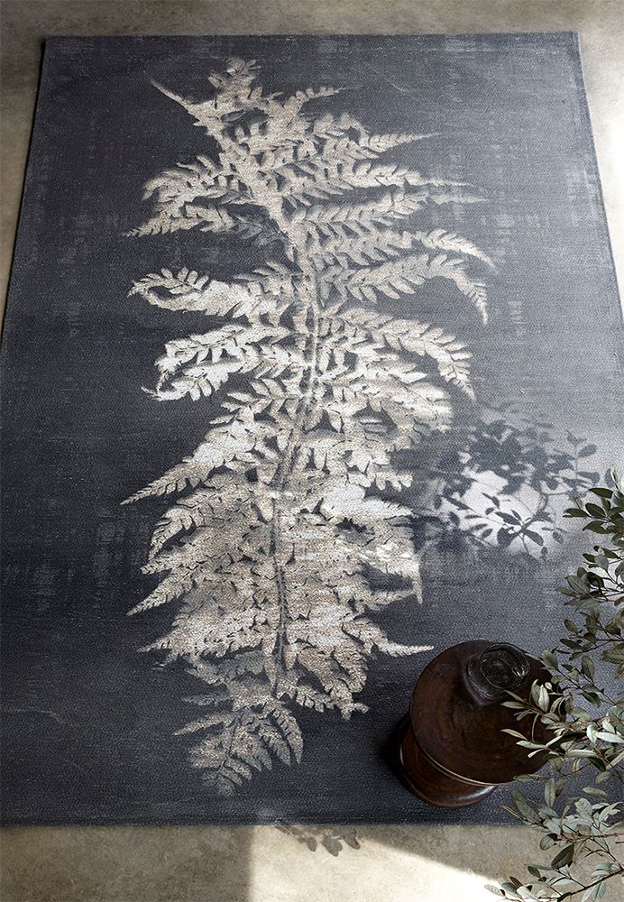 Polystichum Carpet