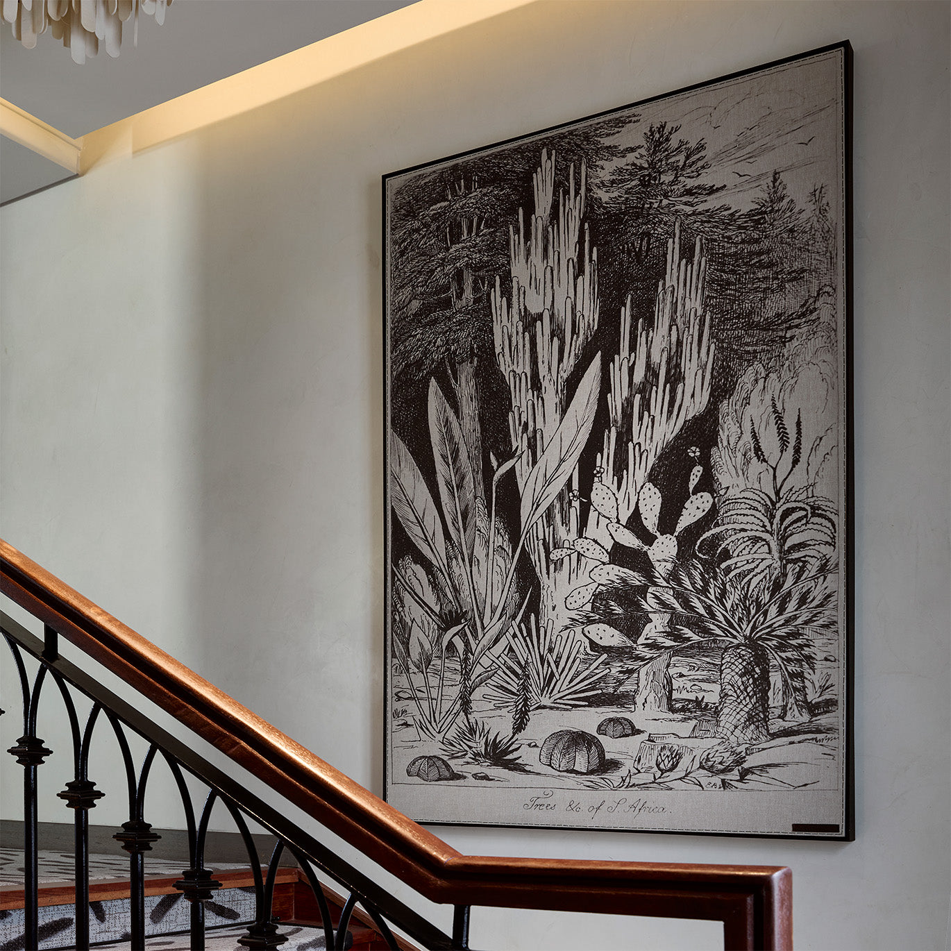 Trees of South Africa 2 Panel