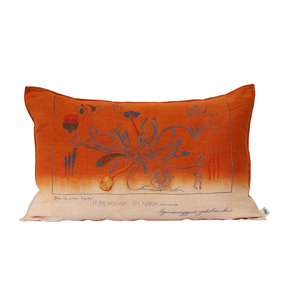 Embroidered Glabra Cushion